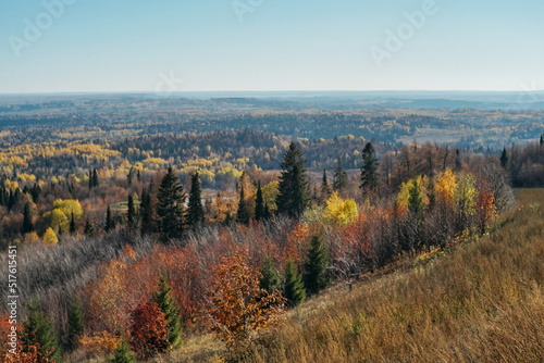 Aerial view of colorful forest in autumn.