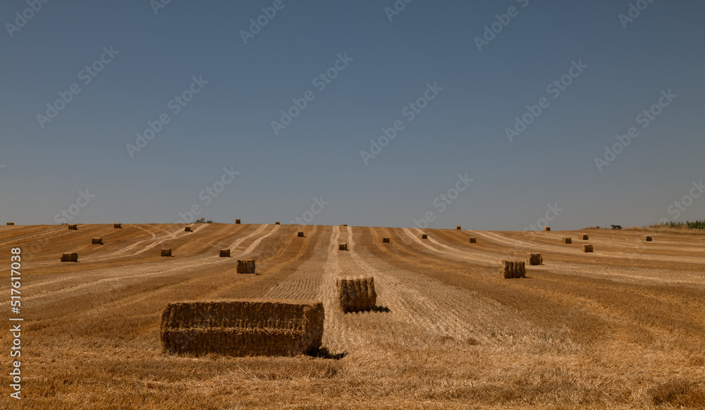 Landscape of straw bale in fields. Castilla y Leon, Spain