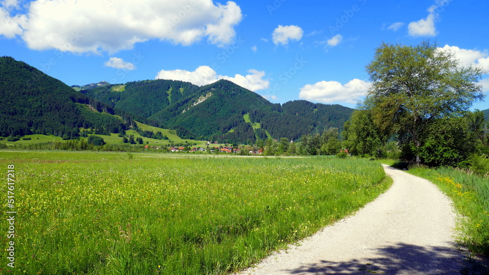 Fototapeta premium Wiesen, Wald und Berge im Ammergau mit Radweg unter blauem Himmel mit weißen Wolken