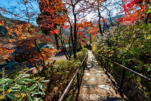 秋の奈良県・長谷寺で見た、太陽に照らされる紅葉と背景の青空