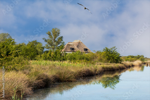 Una tipologia di capanna, caratteristica del Friuli fedele alla tradizione e immersa nella vegetazione spontanea. Laguna del mare di Marano. Fotografia in estate con volo di gabbiano.
 photo