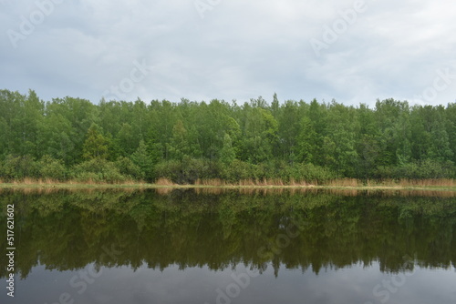 lake in the woods