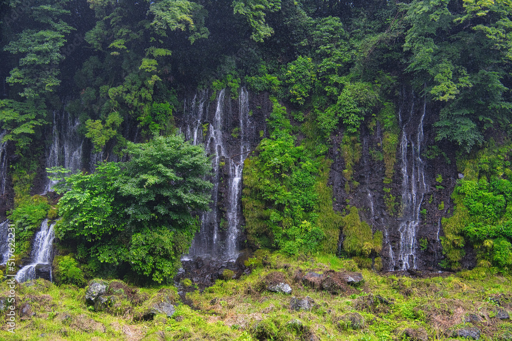 Fototapeta premium 富士山麓の白糸の滝
