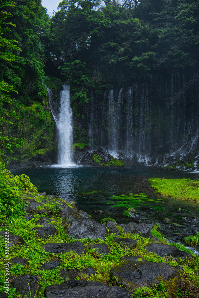 Obraz premium 富士山麓の白糸の滝
