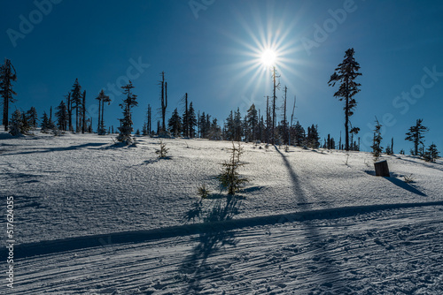 Winter scenery with well-prepared cross-country skiing traill, clear sky and sun in Kralicky Sneznik mountains in Czech republic photo