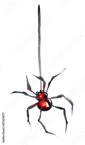 Spider watercolor illustration with web on white