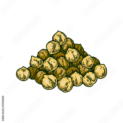Hand drawn handful of chickpeas beans. Colorful botany vector illustration in sketch style