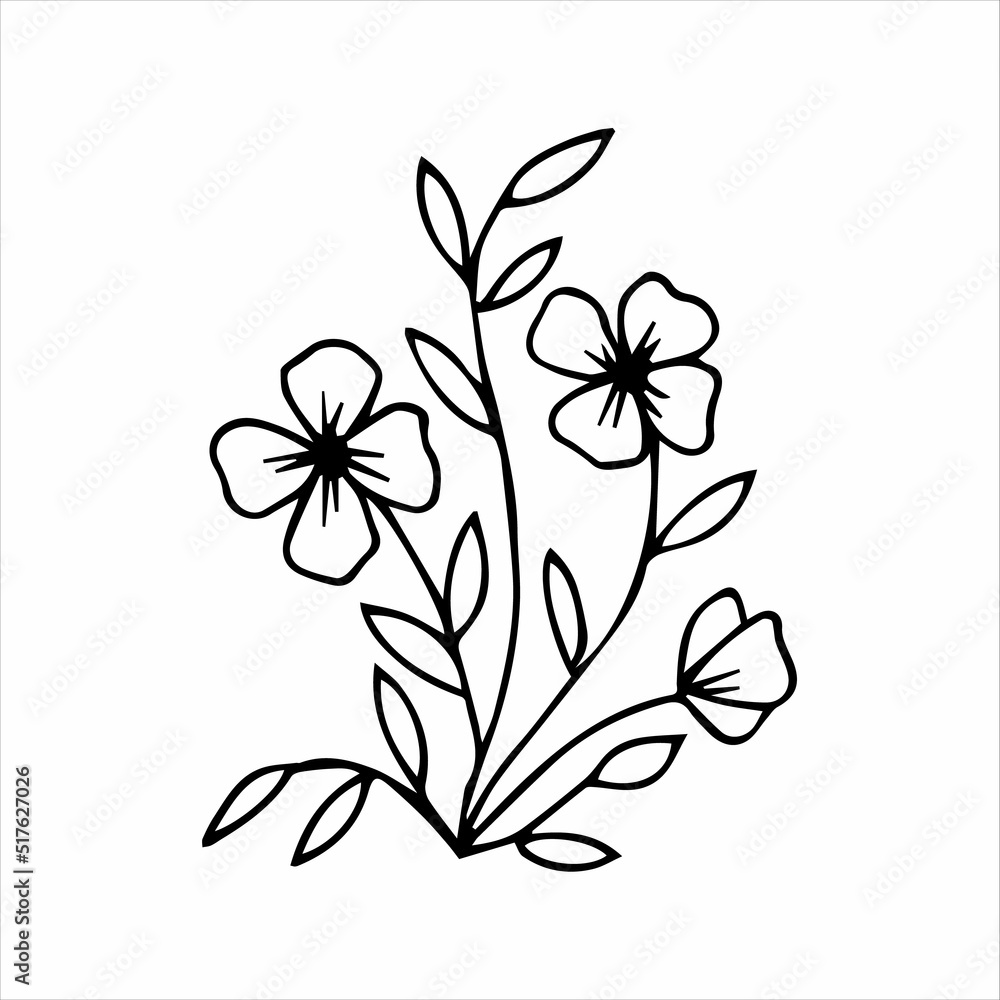 Obraz premium hand drawn doodle plant element for floral design concept