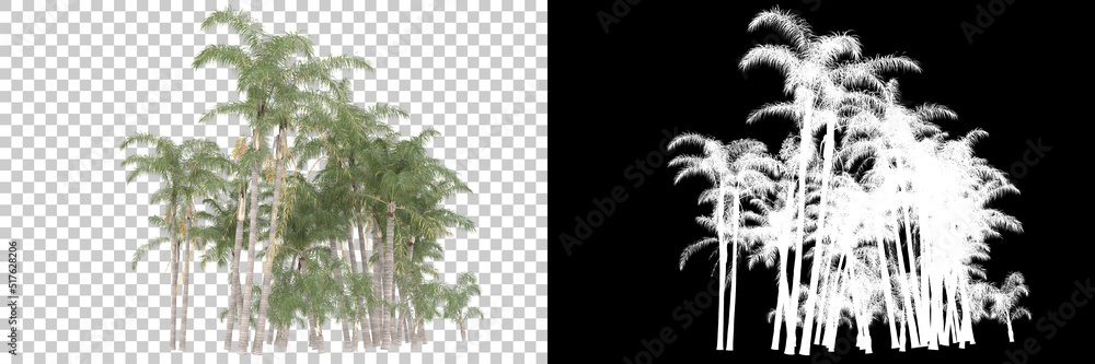 Naklejka premium Tropical forest isolated on background with mask. 3d rendering - illustration