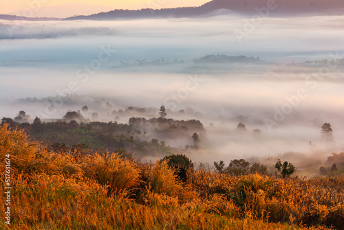 Landscape of the mountains and field with fog on sunrise