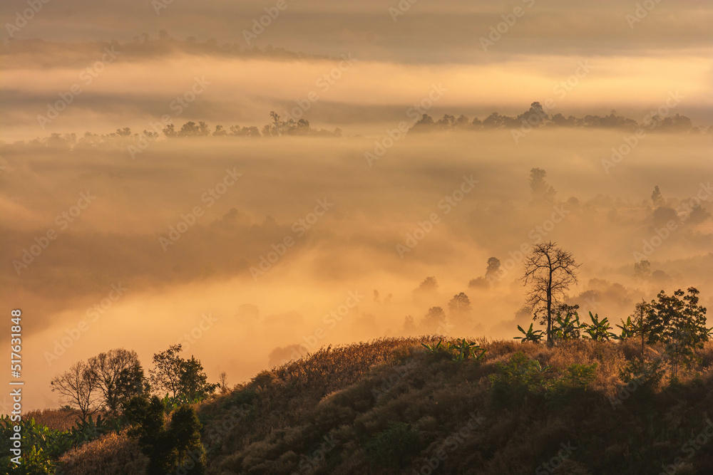 Landscape of the mountains and field with fog on sunrise