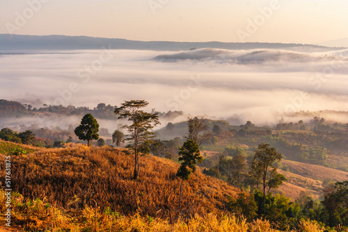Landscape of the mountains and field with fog on sunrise