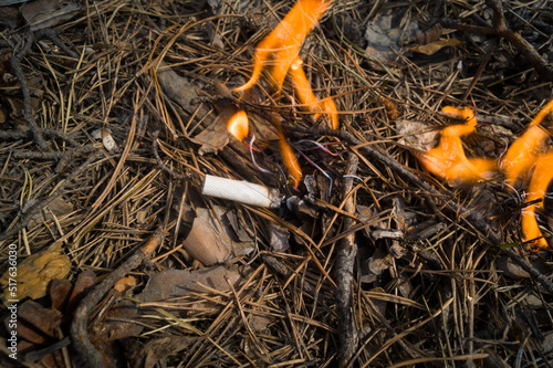 A burning fire from a fallen smoldering cigarette butt. Burning pine needles in the forest. The beginning of a wildfire. Fire due to human fault. Selective focus