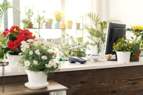 Florist shop interior with beautiful flowering plants © StockPhotoPro