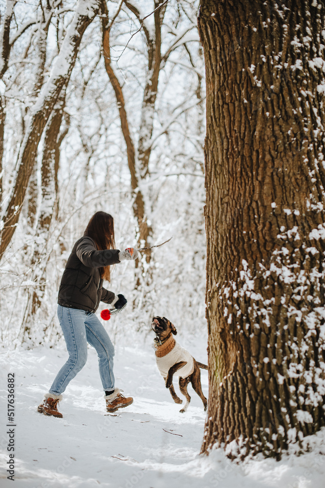 a young girl with a boxer dog in a snowy forest
