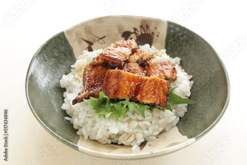 Japanese summer gourmet, grilled eel on rice with copy space