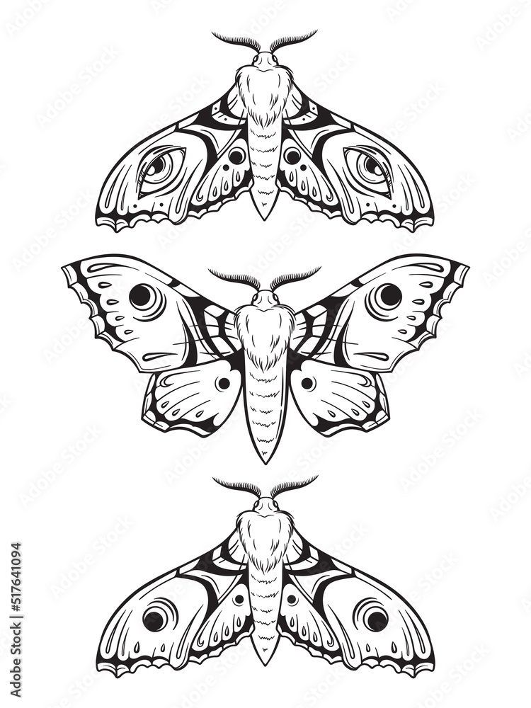 Hawk moths hand drawn line art gothic tattoo design set isolated vector