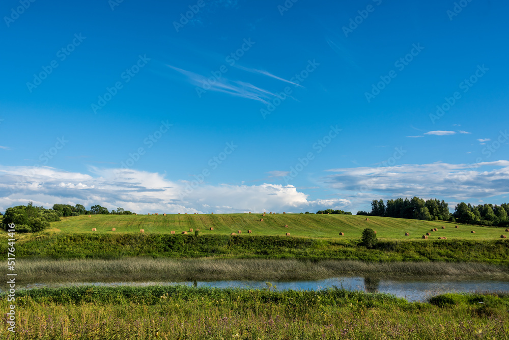 Haystacks in a field by the river. Rural landscape.