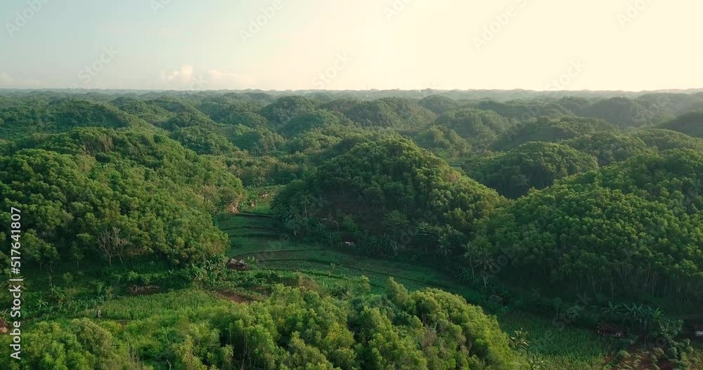 aerial drone view of forest and hill with a curved arrangement in the morning, Wonosari, Yogyakarta. aerial drone view of forest and hill with a curved arrangement in the morning, Wonosari, Yogyakarta.