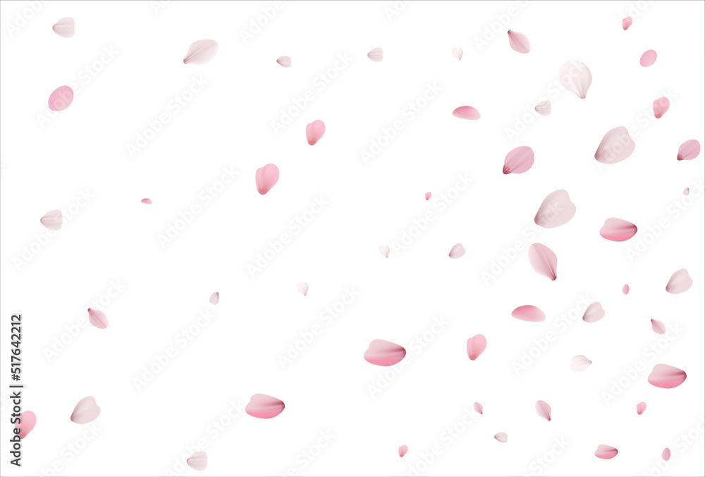 Cherry petals backdrop. Sakura petals background.