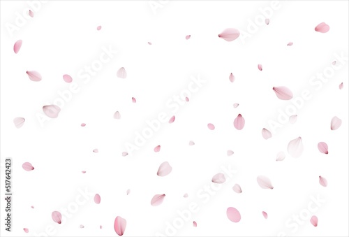 Sakura petals background. Cherry petals backdrop