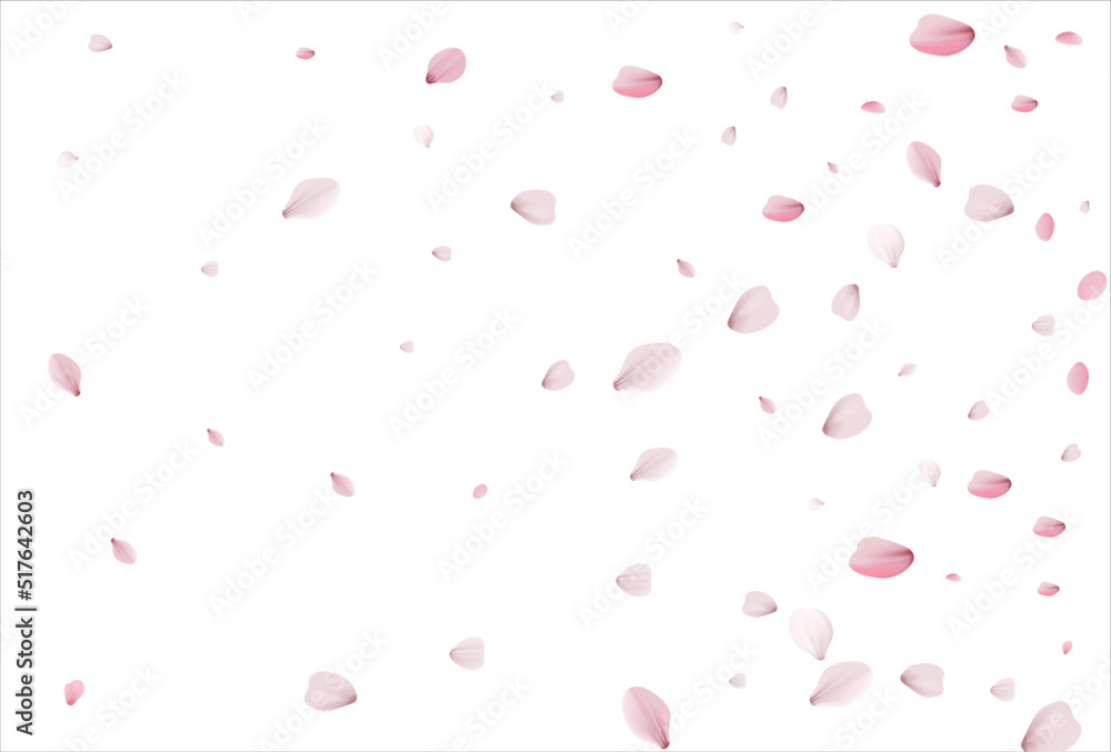 Cherry petals backdrop. Sakura petals background.