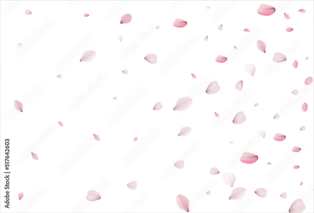 Cherry petals backdrop. Sakura petals background. Cherry petals backdrop. Sakura petals background.