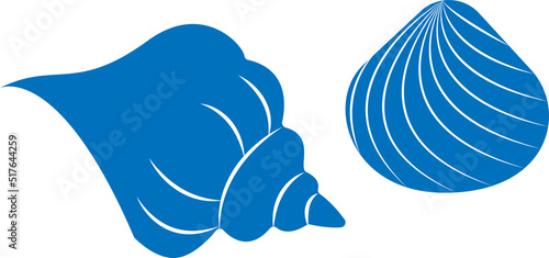 Blue sea shells collection. Two vector shells isolated on white background. Flat style illustration photo