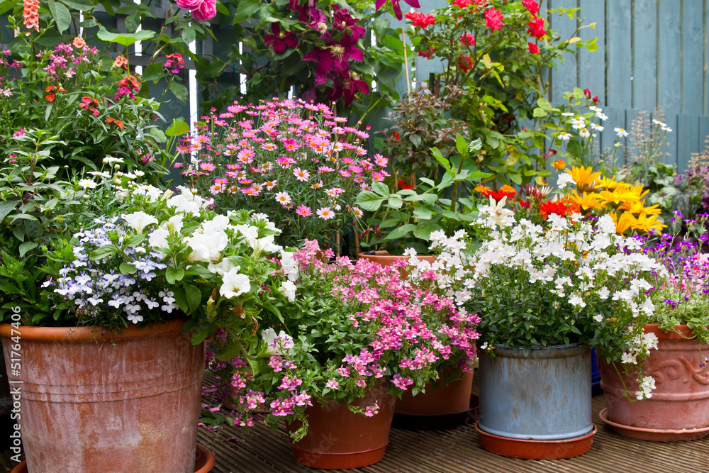  Patio garden with containers full of colorful flowers, Container gardening and flower display idea.