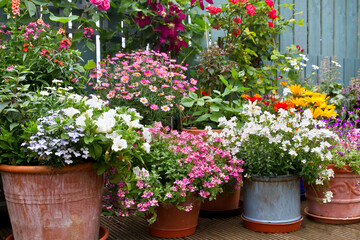 Patio garden with containers full of colorful flowers, Container gardening and flower display idea.