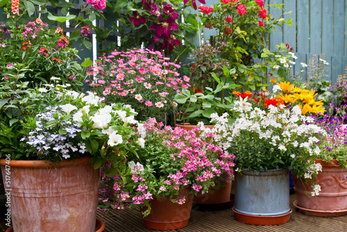 Fototapeta Naklejka Na Ścianę i Meble -   Patio garden with containers full of colorful flowers, Container gardening and flower display idea.