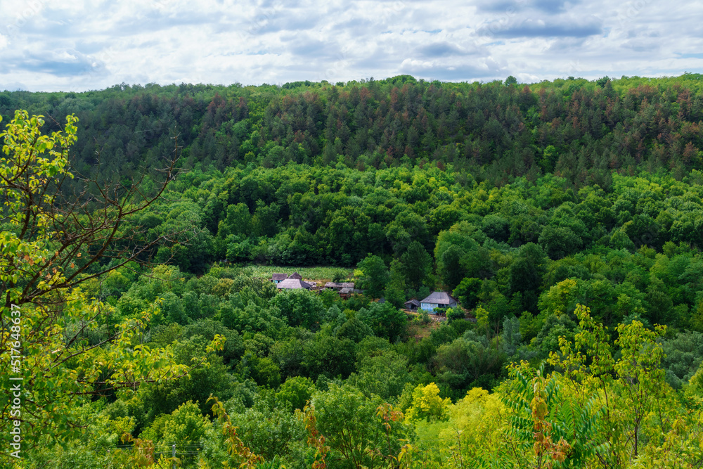 beautiful valley with green trees, rural houses and vegetable gardens below, forest on a hill and wild grass, blue sky with clouds on the horizon, beautiful summer landscape, bright sunny day