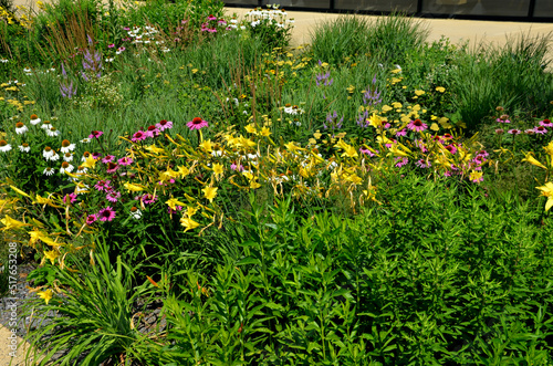 flowerbed on the promenade in the park with ornamental perennials. the edge is a curved curb of granite paving blocks. separates the flowerbed in the rectangle from the lawns