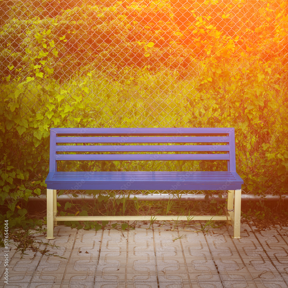 Wooden bench in the park, orange light shining in the background.