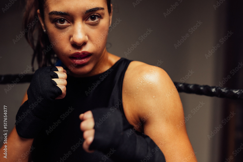 Female martial artist standing in fighting position Stock Photo Adobe