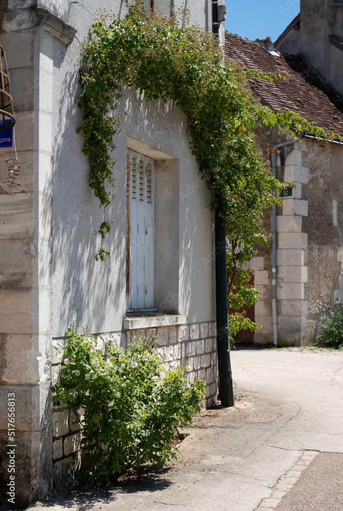 Fototapeta premium The small village of Chedigny in the Loire Valley, central France. The village has been turned into a giant garden and is known as a garden village or 'Remarkable Garden'. It bursts with colour.