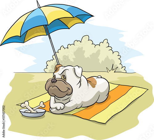 Bulldog, england, frances, lying on the blanket and guarding the place, under the umbrella, in the shadow. 