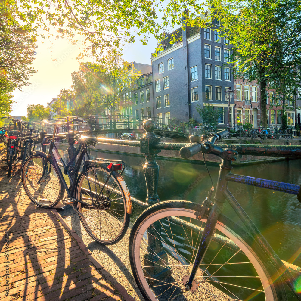 Artistic view of Amsterdam. Early morning. Traditional Bicycles and Old Houses. The real sun shines through the trees and creates glare. Lovely morning in Amsterdam.