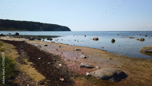 Wallpaper Mural Static view of rotting seaweed, stones and open ocean, Gotland, Sweden Torontodigital.ca