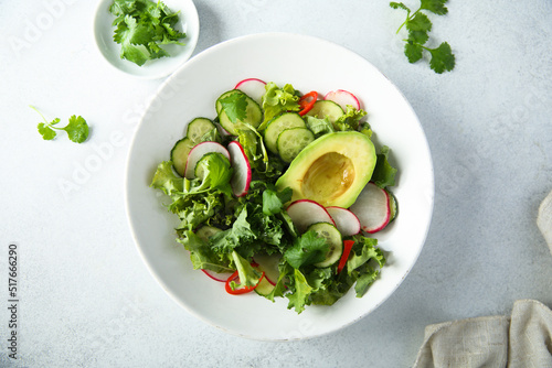 Obraz na plátně Fresh vegetable salad with avocado