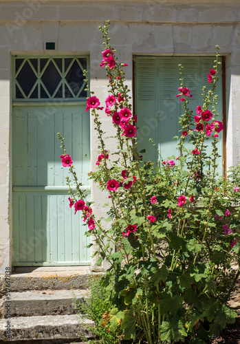 The small village of Chedigny in the Loire Valley, central France. The village has been turned into a giant garden and is known as a garden village or 'Remarkable Garden'. It bursts with colour. © Lois GoBe