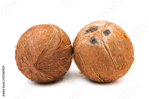 Two whole ripe organic coconut isolated on white background.