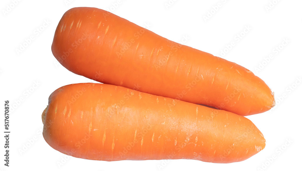 Two fresh carrots on a white background, isolated image. Two fresh carrots on a white background, isolated image.