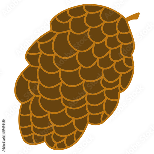 Spruce cone illustration
