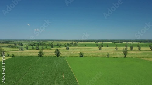 Amazing countryside landscape in nature park Lonjsko polje, Croatia, agriculture fields in summer, aerial view photo