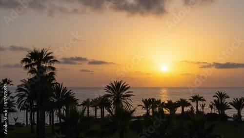 Day to night time lapse. Palm tree beach with hot tropical sunset background