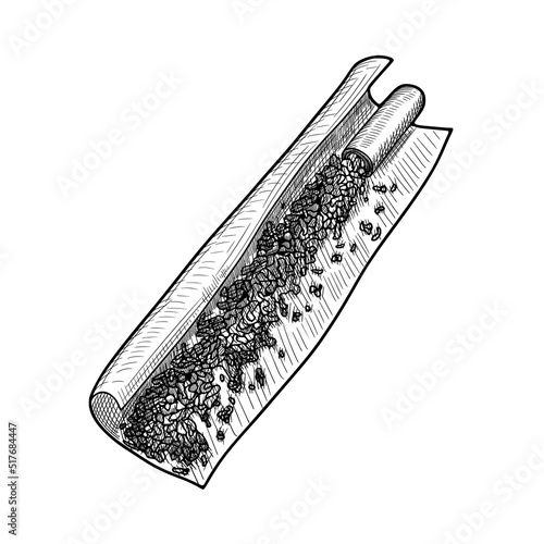 Marijuana roll. Handmade cigarette with cannabis. Sketch by hand on the topic of smoking marijuana. joint or spliff.