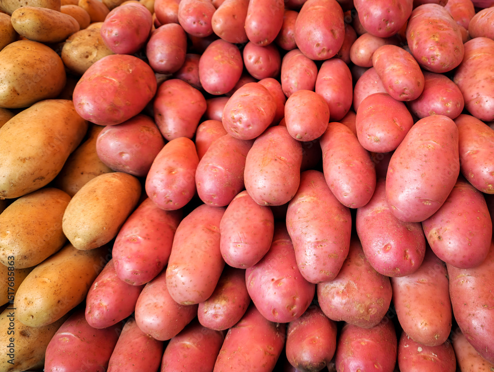 fresh potatoes sold at street fair fresh potatoes sold at street fair