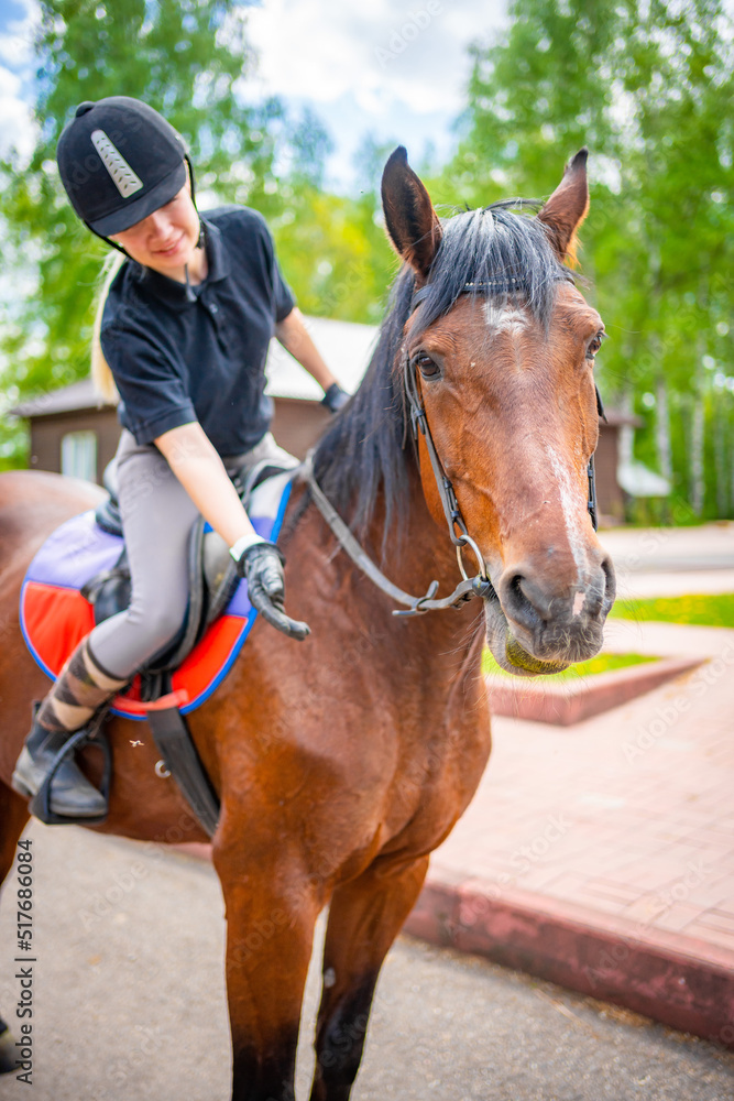 Lovely young woman wearing helmet stroking to her brown horse