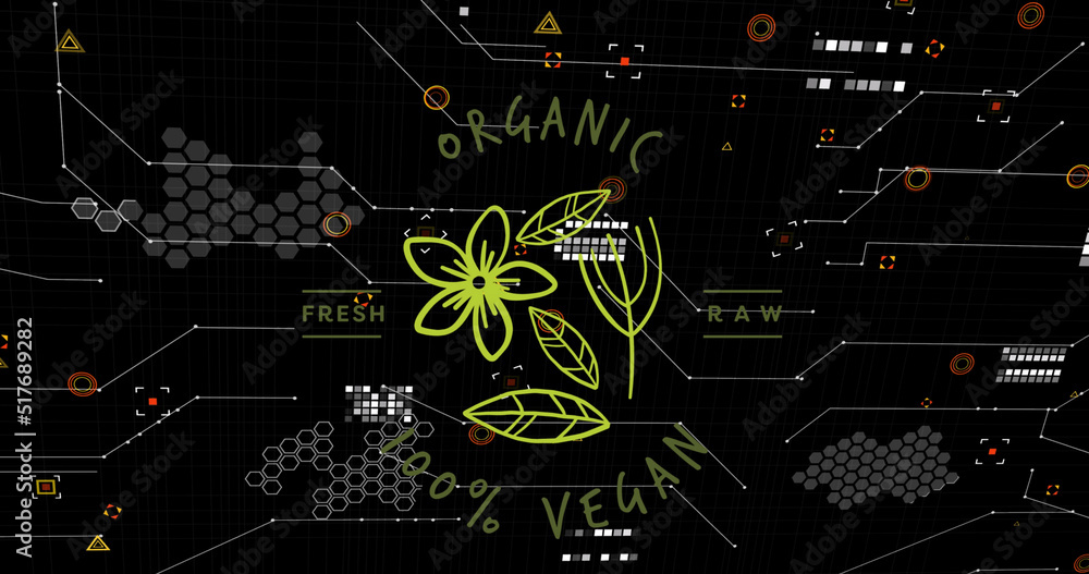 Fototapeta premium Image of organic vegan text with icons over data processing on black background